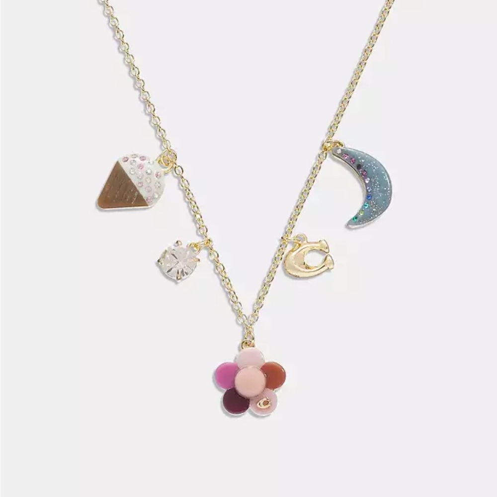 NWT- COACH NECKLACE